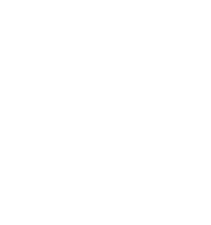Wizard